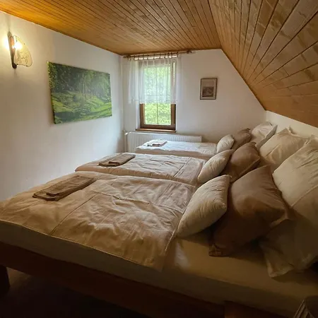 Bedriska Šumperk